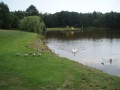 Dreiländerecktour - Rast Golfplatz Franzensbad